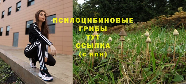 ешки Алексин