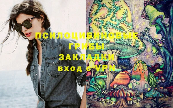 apvp Алексеевка